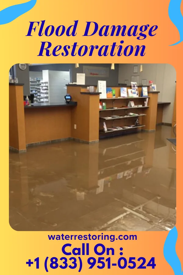Flood Damage Restoration in Union Springs, NY