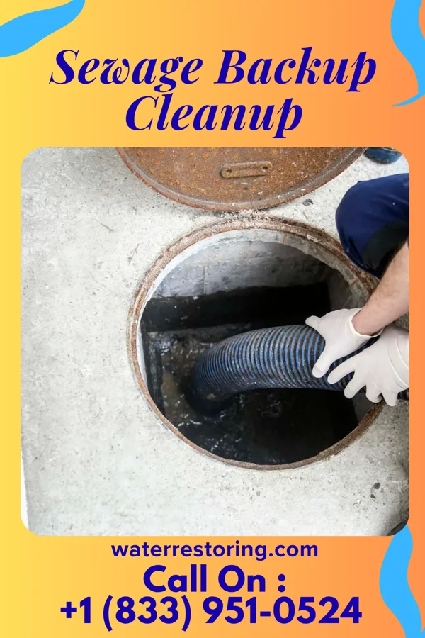 Sewage Backup Cleanup in Union Springs, NY