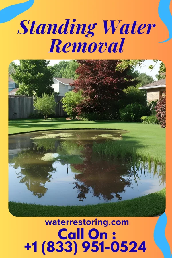 Standing Water Removal in Union Springs, NY